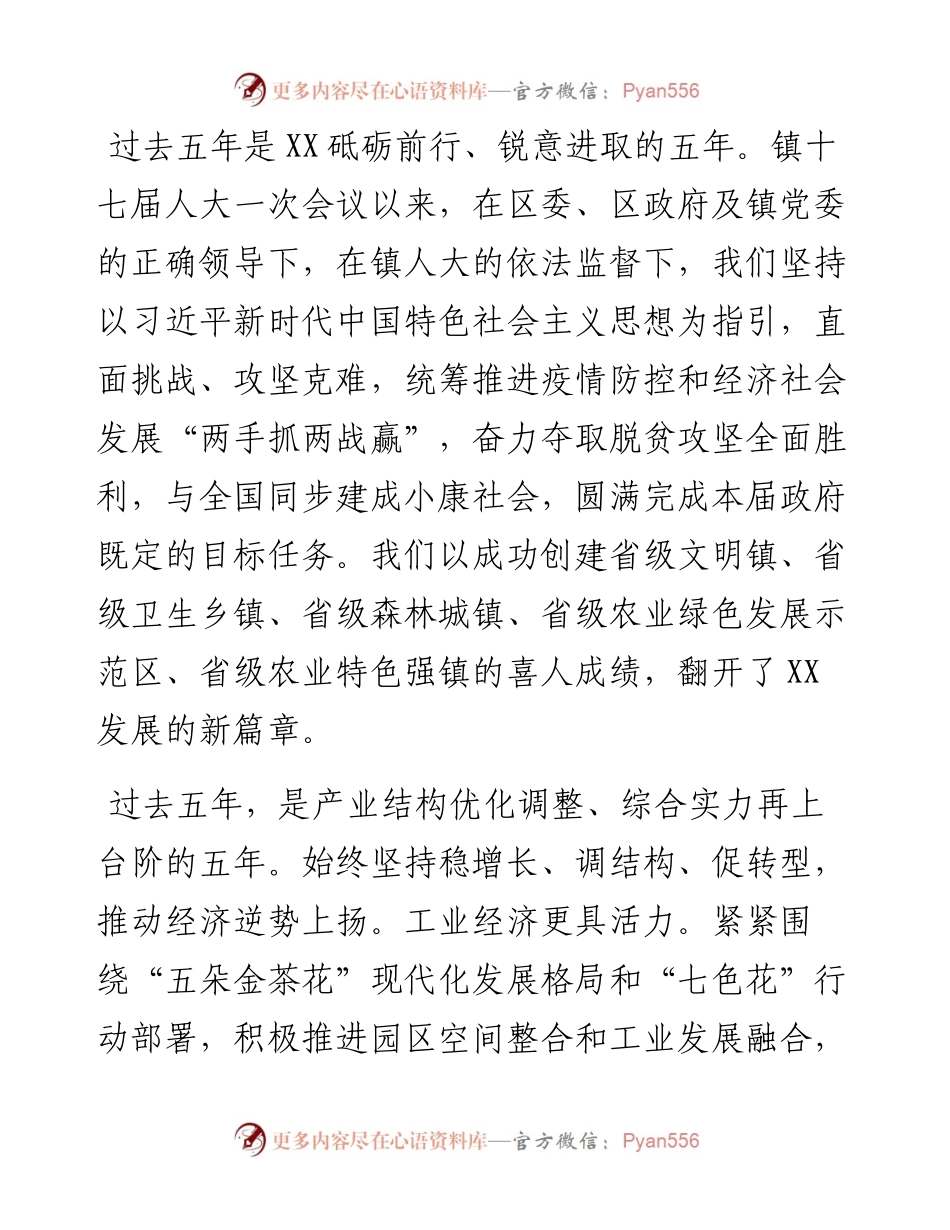 人民政府-工作总结（镇乡）.docx_第1页