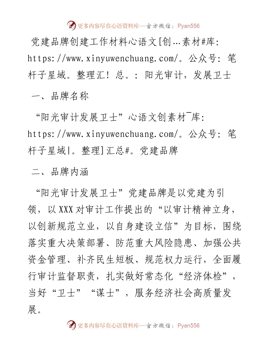 党建品牌创建工作材料：阳光审计，发展卫士.docx_第1页