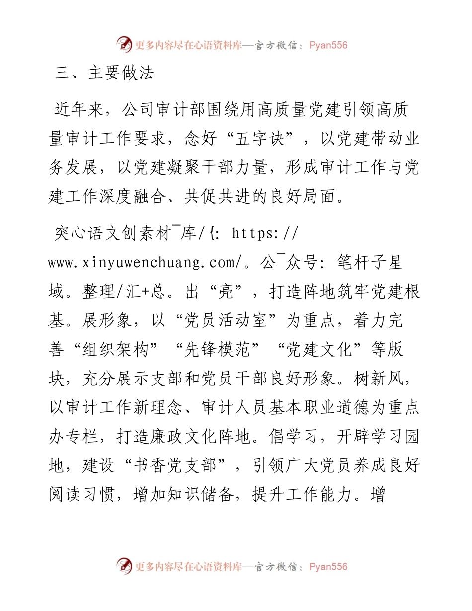 党建品牌创建工作材料：阳光审计，发展卫士.docx_第2页