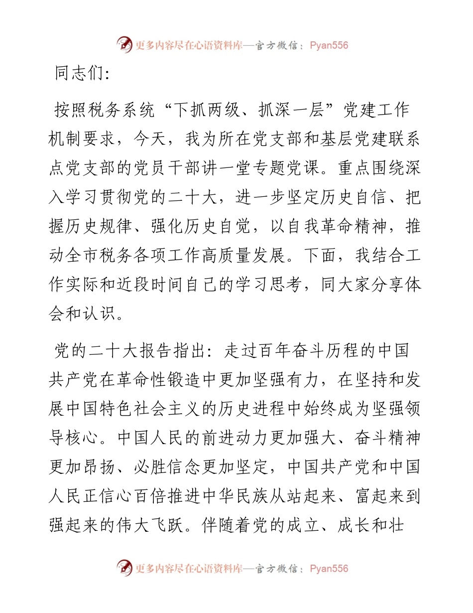 专题党课：市税务局党委书记党课提纲.docx_第1页
