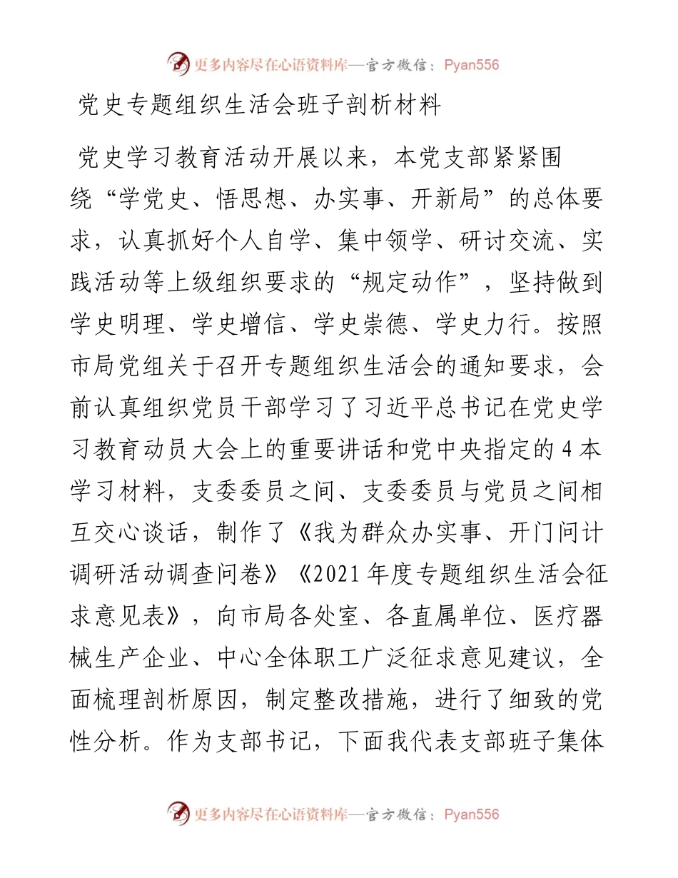 党史专题组织生活会班子剖析材料.docx_第1页