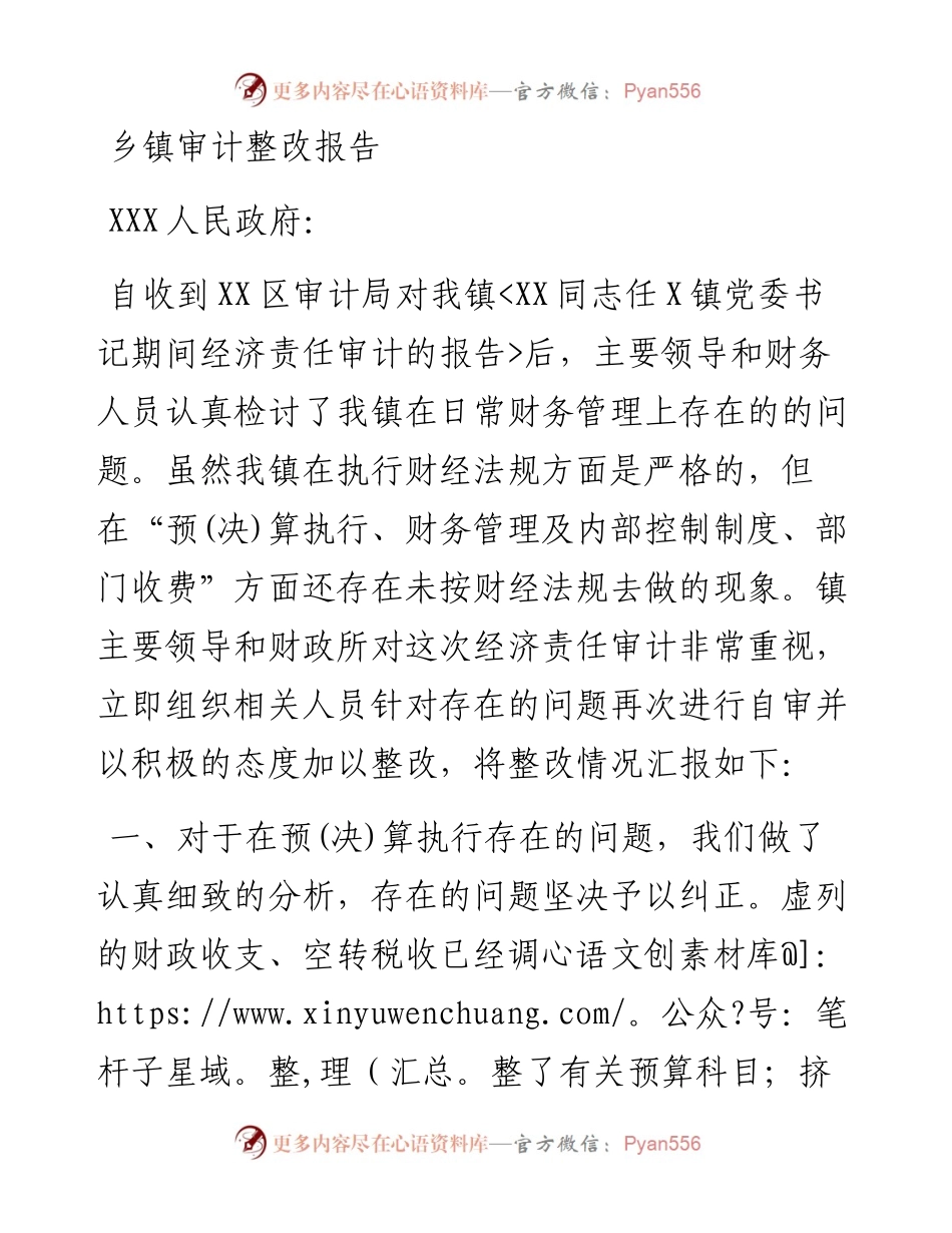 乡镇审计整改报告.docx_第1页