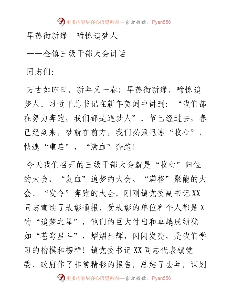 三级干部大会讲话.docx_第1页