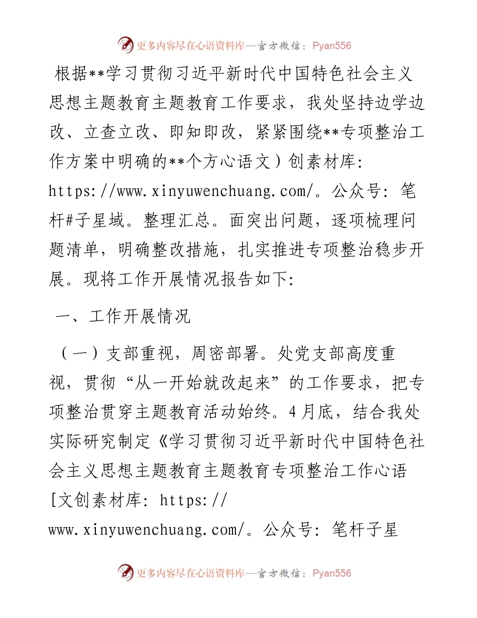 党支部关于专项整治情况的报告.docx_第1页