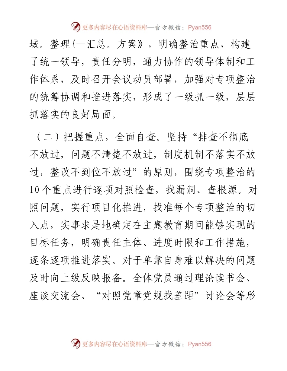 党支部关于专项整治情况的报告.docx_第2页