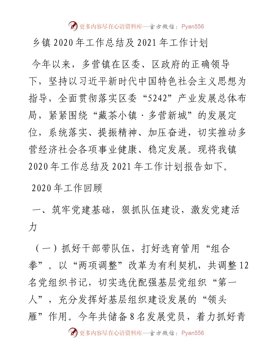 乡镇工作总结及工作要点.docx_第1页