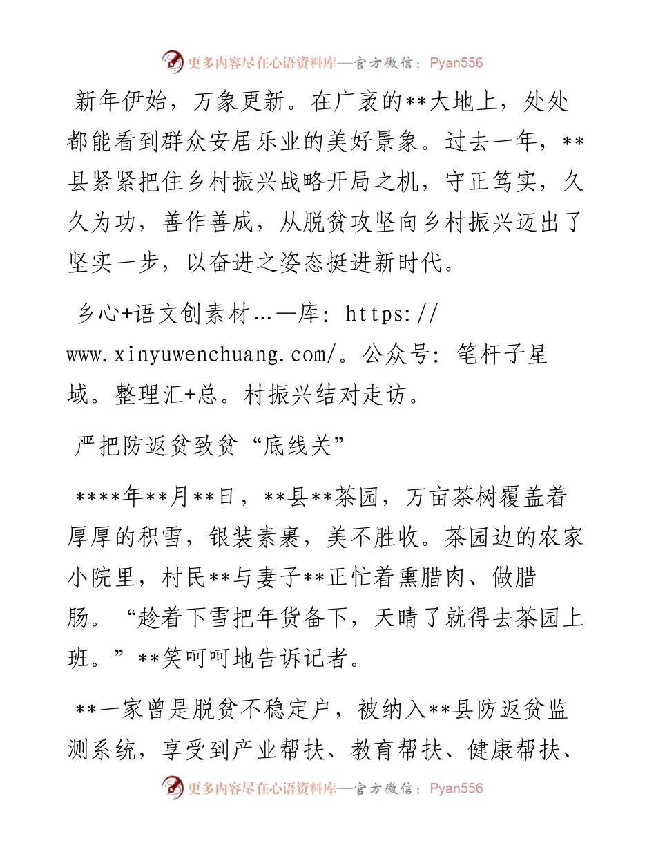 乡村振兴工作综述.docx_第1页