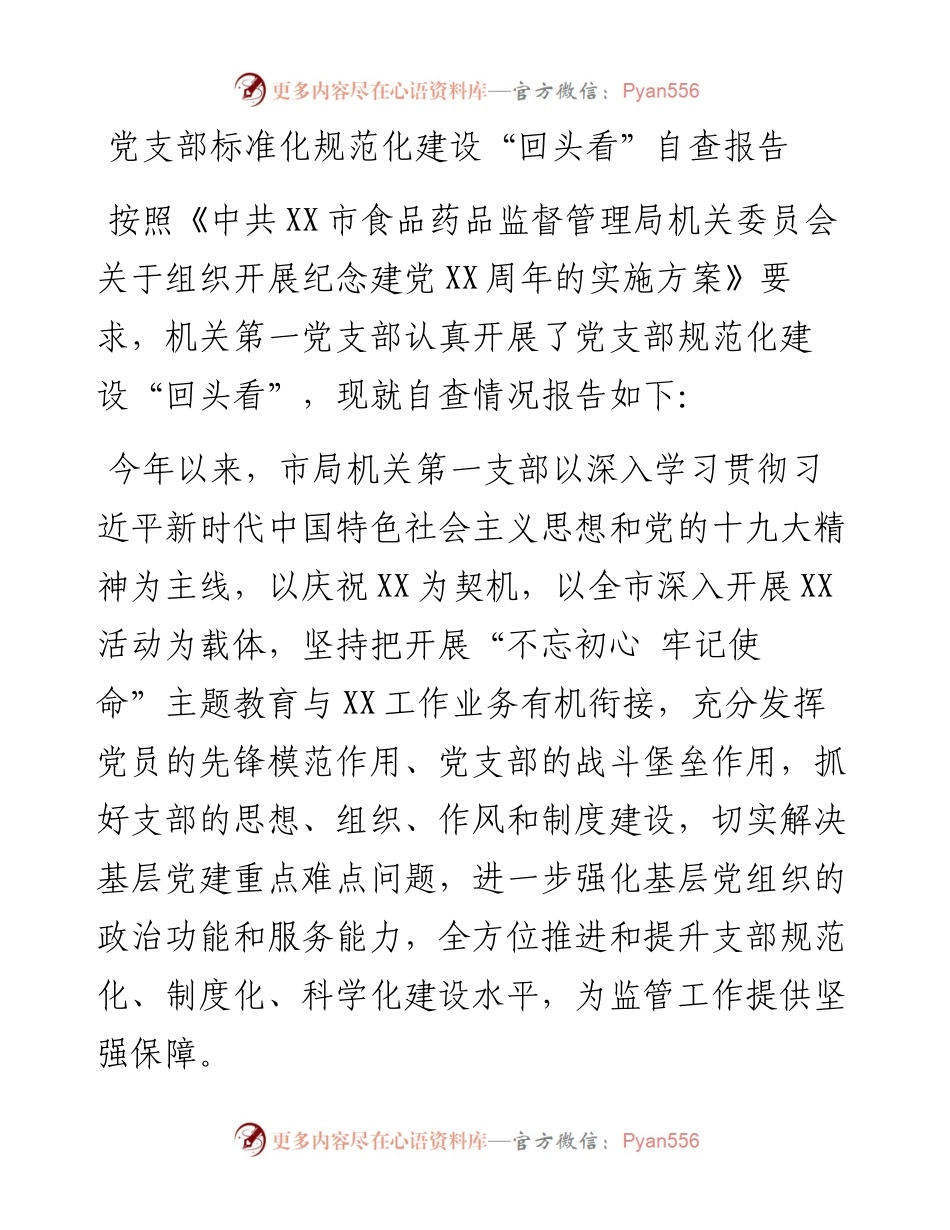 党支部标准化规范化建设回头看自查报告.docx_第1页