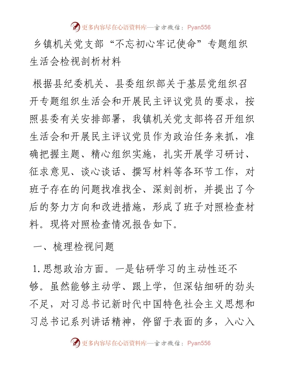 乡镇机关党支部“不忘初心牢记使命”专题组织生活会检视剖析材料.docx_第1页