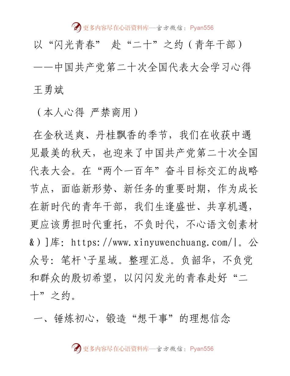 二十大报告心得：以“闪光青春”+赴“二十”之约（青年干部）.docx_第1页