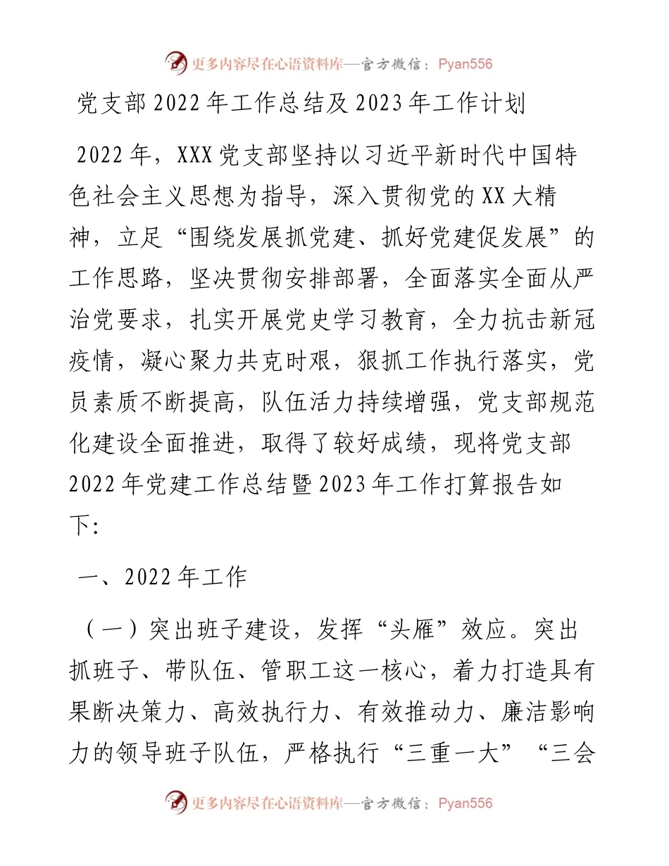 党支部工作总结及2023年工作计划.docx_第1页