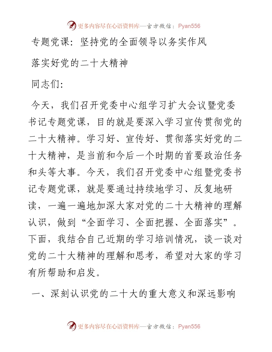专题党课：坚持党的全面领导以务实作风落实好党的二十大精神.docx_第1页