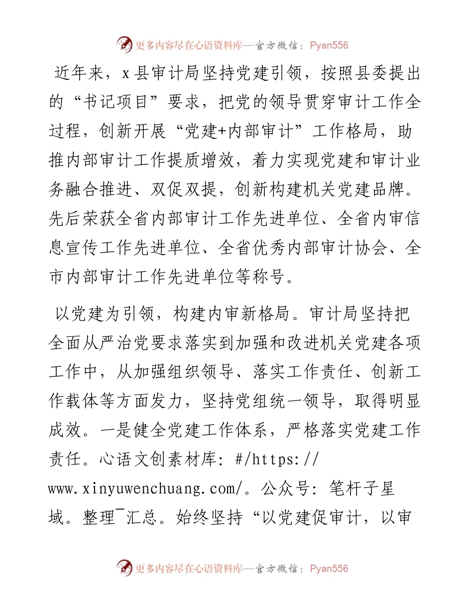 党建品牌创建经验材料：构建“党建+内审”工作格局筑牢“免疫系统”第一防线（县审计局）.docx_第1页