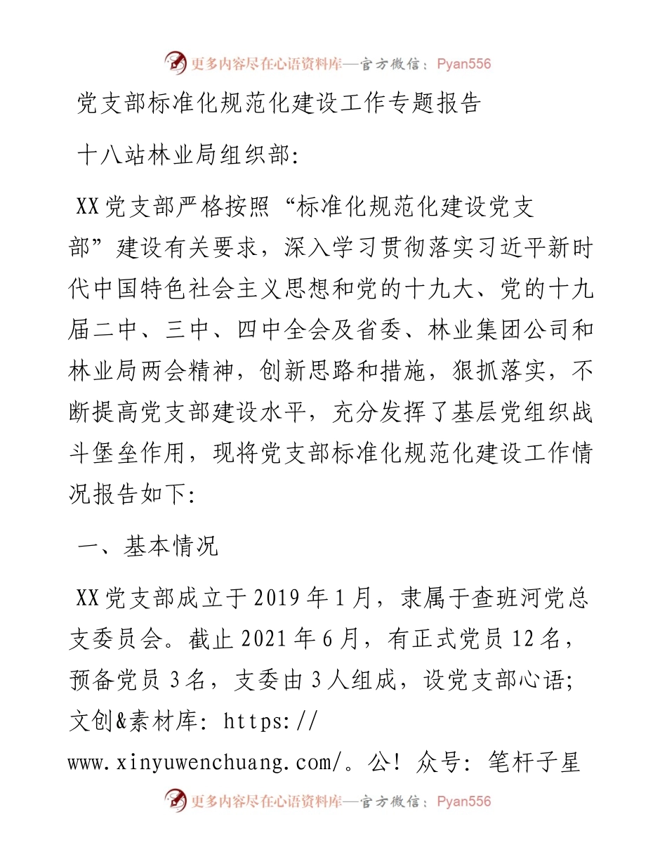 党支部标准化规范化建设工作专题报告.docx_第1页