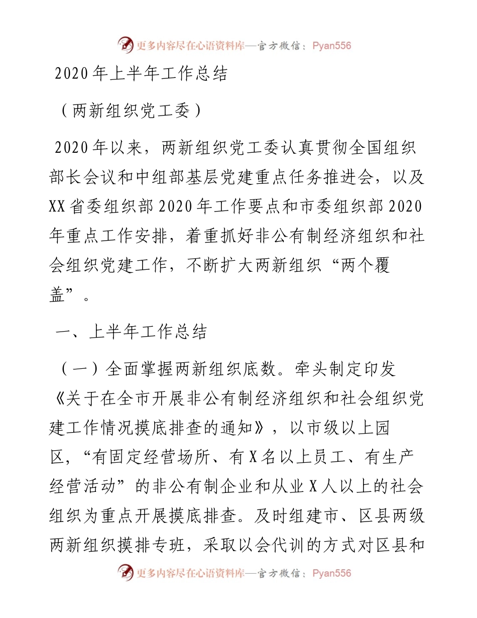 两新组织党工委半年工作总结.docx_第1页