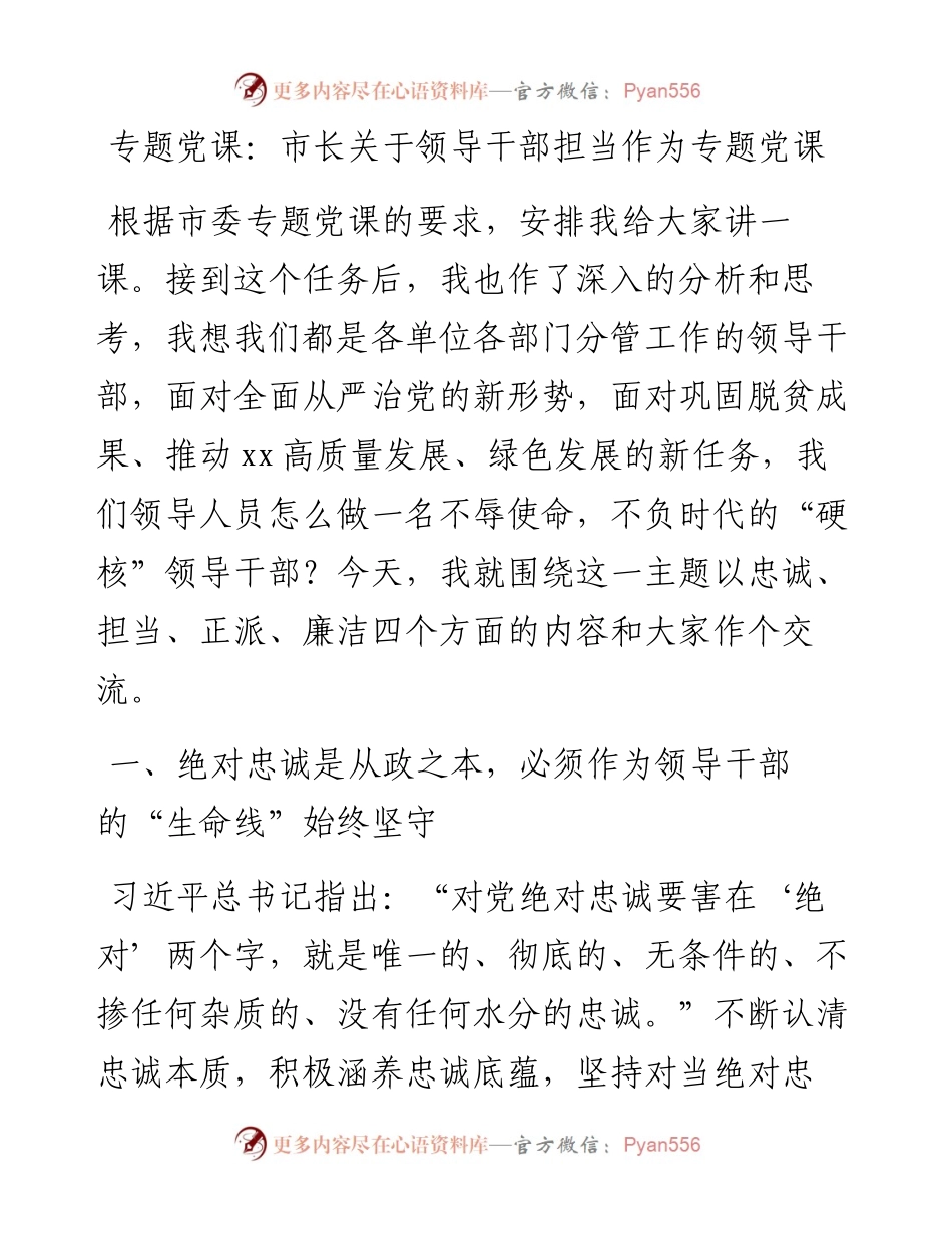 专题党课：市长关于领导干部担当作为专题党课.docx_第1页