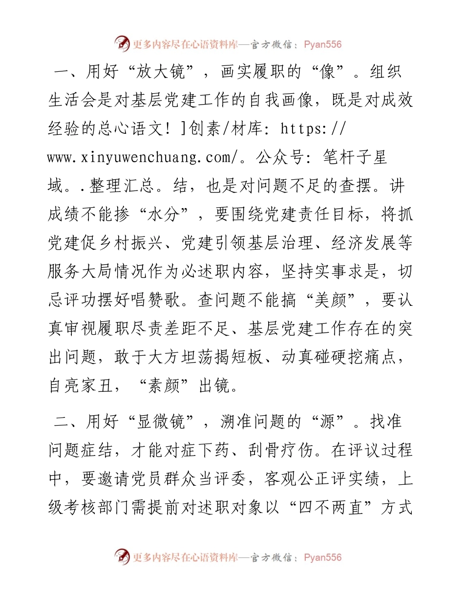 以普通党员身份参加所在党支部组织生活会及民主评议党员上的讲话.docx_第2页