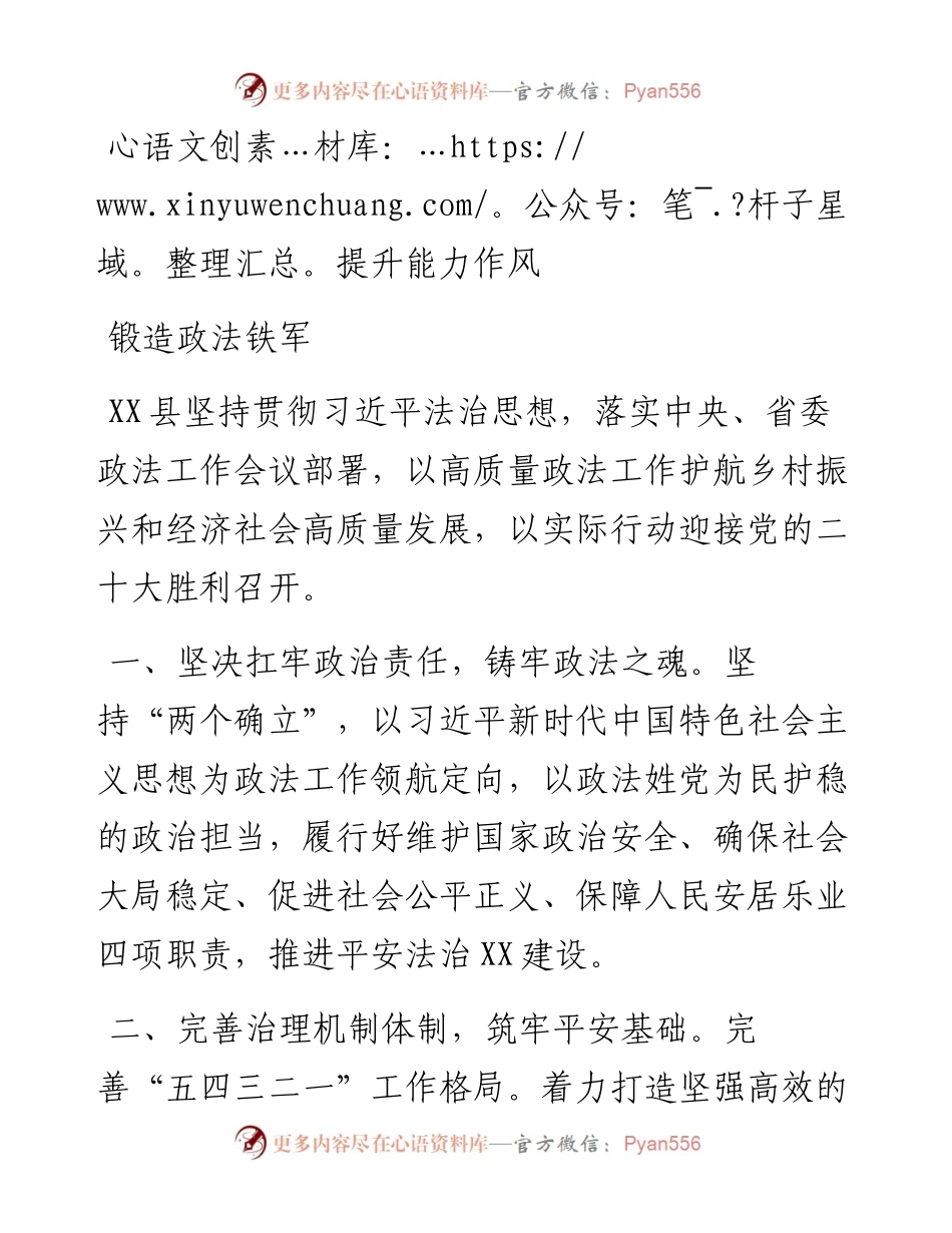 二十大访谈--提升能力作风锻造政法铁军 - 副本.docx_第1页