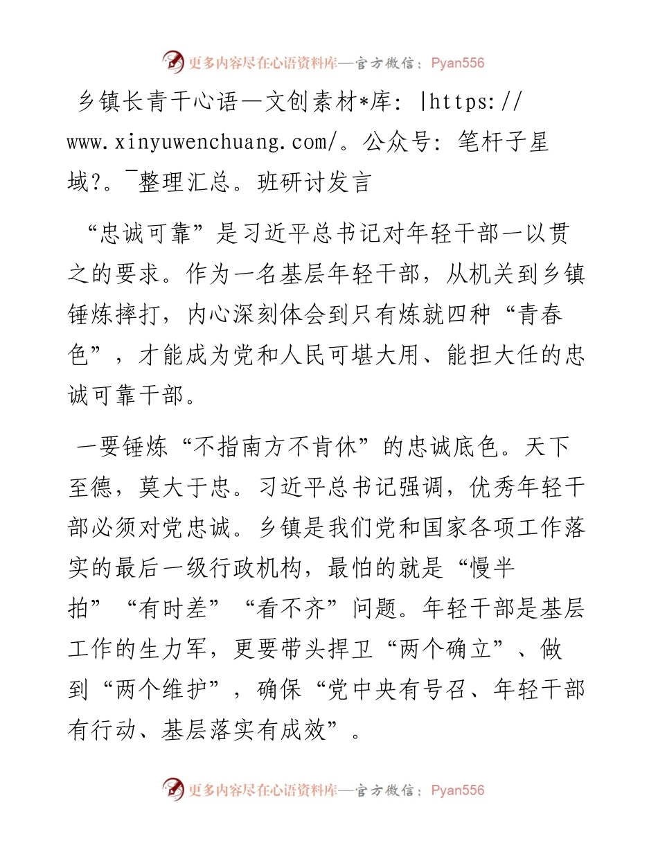 乡镇长青干班研讨发言.docx_第1页