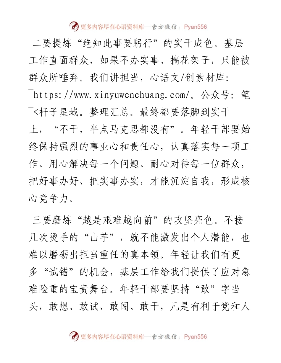 乡镇长青干班研讨发言.docx_第2页