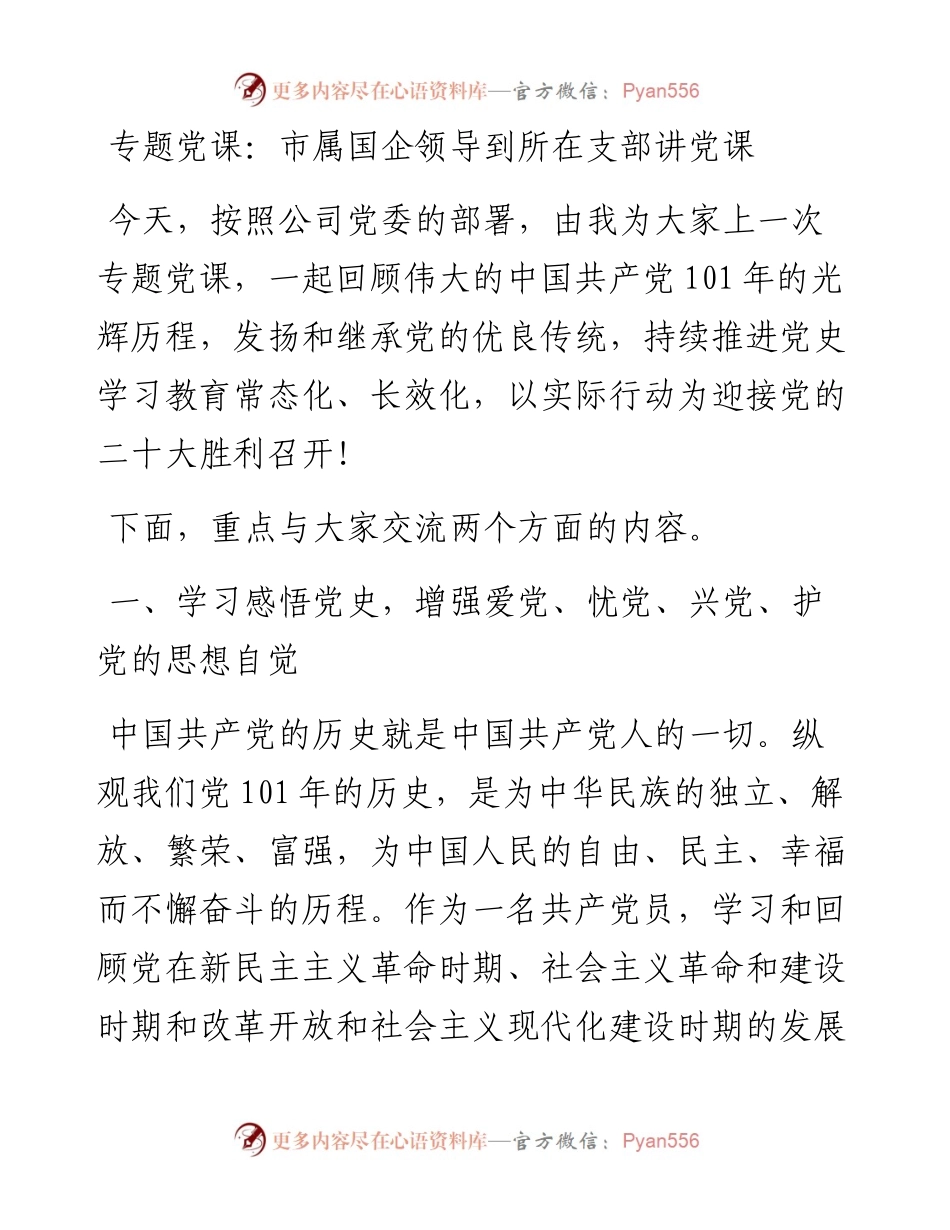 专题党课：市属国企领导到所在支部讲党课.docx_第1页