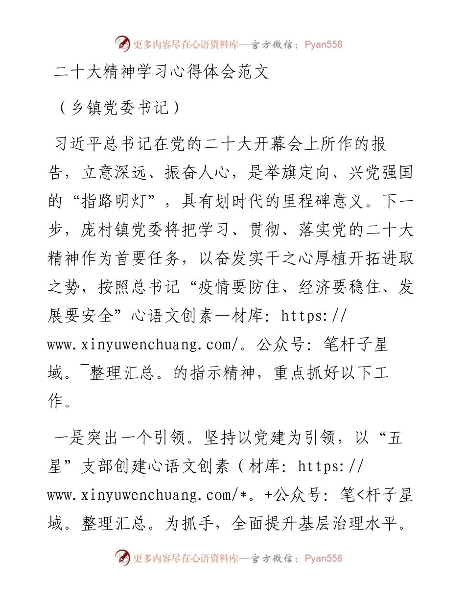 二十大精神学习心得体会范文（乡镇党委书记）.docx_第1页