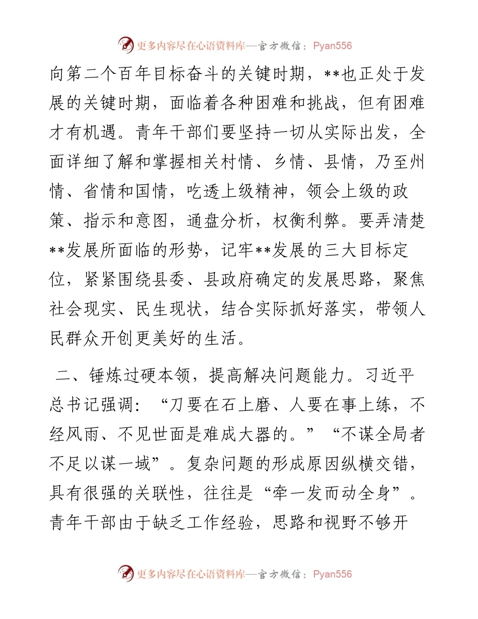 交流研讨发言材料：青年干部要提高“四个本领” 推动工作落实.docx_第2页
