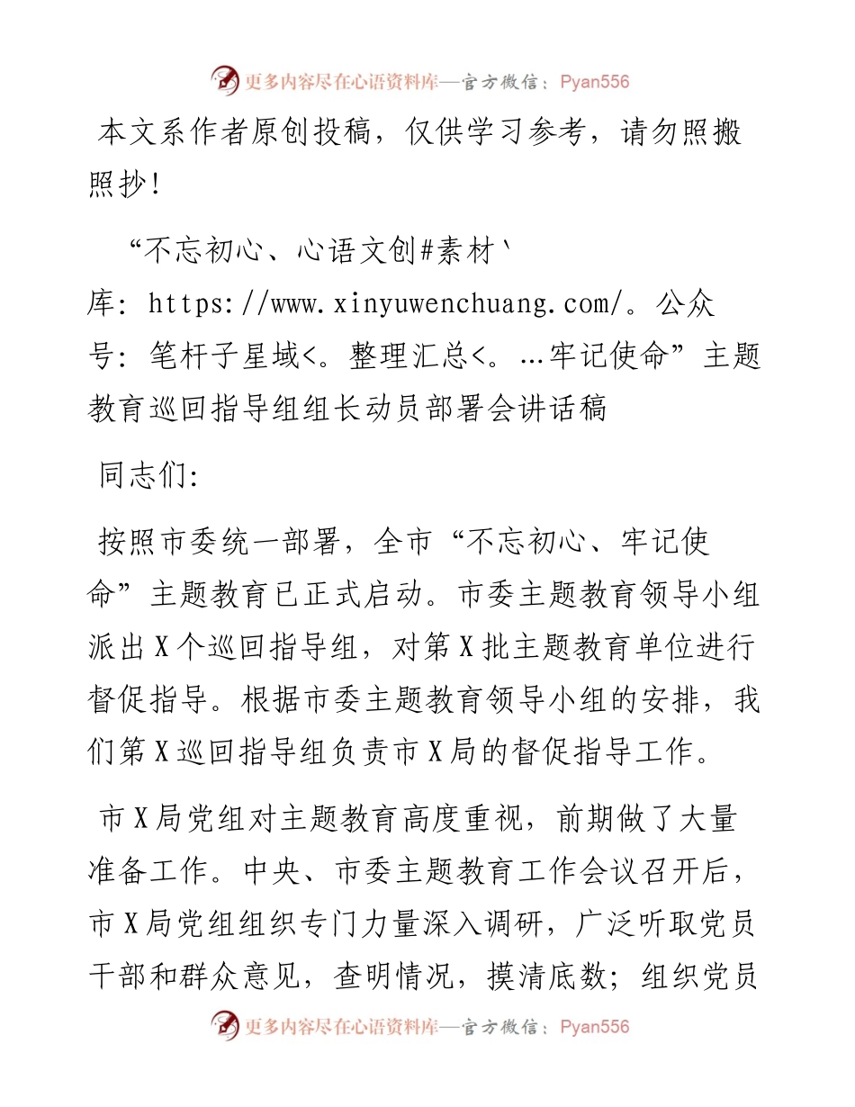主题教育巡回指导组动员部署讲话稿.docx_第1页