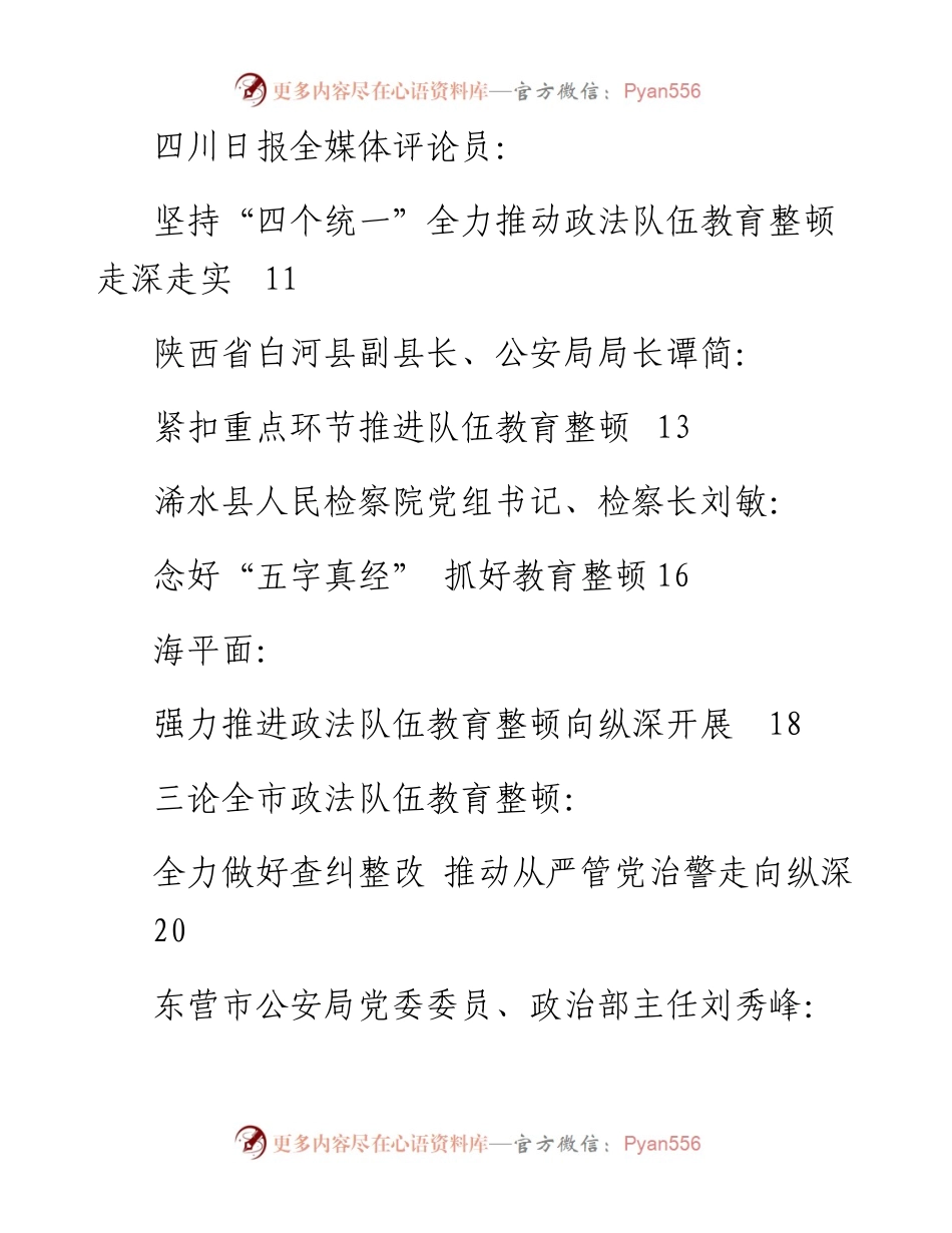 专题系列460（16篇）政法队伍教育整顿经验综述汇编.docx_第2页