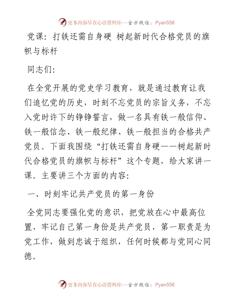 党史学习教育党课：打铁还需自身硬 树起新时代合格党员的旗帜与标杆.docx_第1页