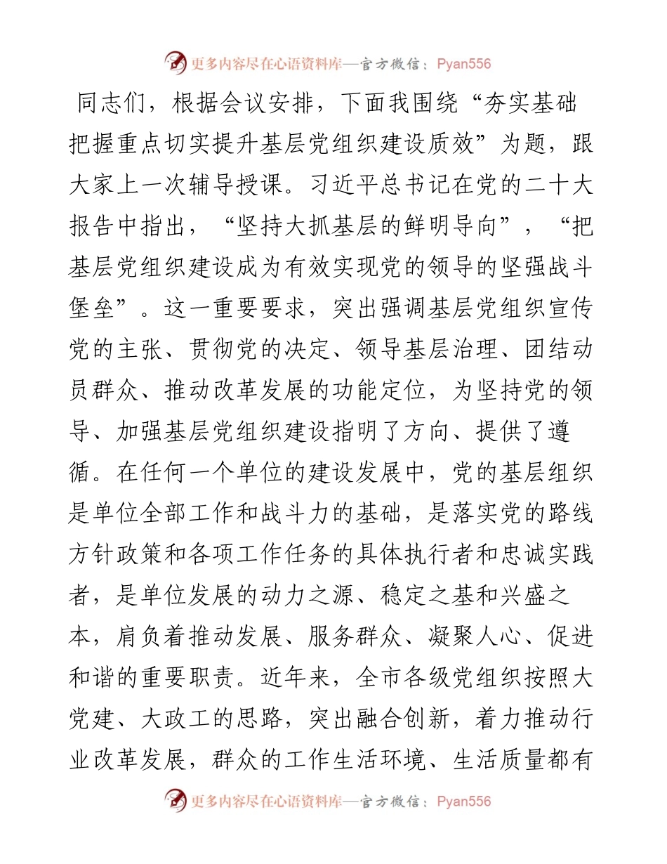 党课讲稿：夯实基础 把握重点 切实提升基层党组织建设质效.docx_第1页