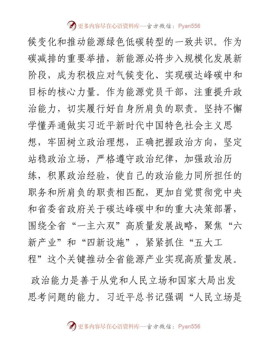 专题党课：锚定双碳目标着力提升“三个能力”坚决扛起能源高质量发展重任.docx_第2页