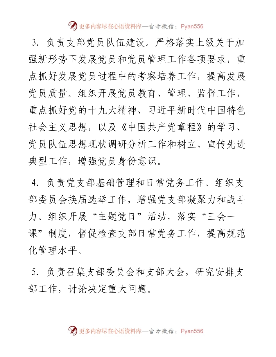 党支部全面从严治党责任清单.docx_第2页