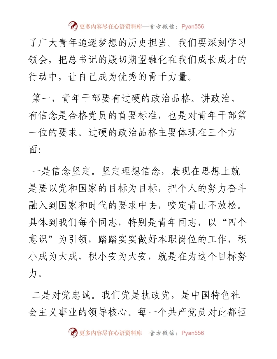党课讲稿—青年干部如何成为优秀骨干力量.docx_第2页