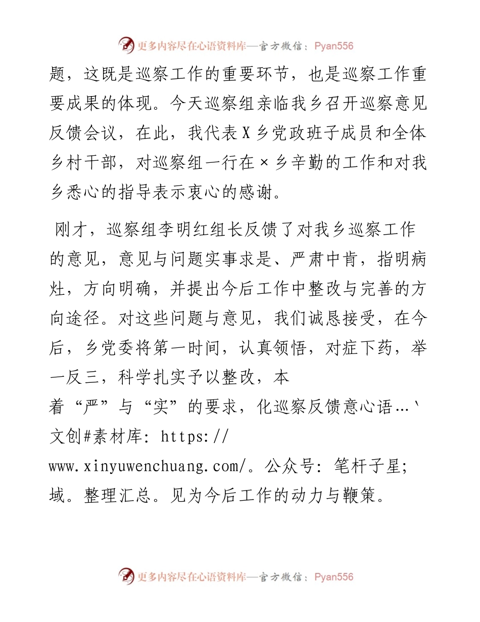 乡党委书记在县委第四巡察组巡视反馈意见会上整改表态发言.docx_第2页