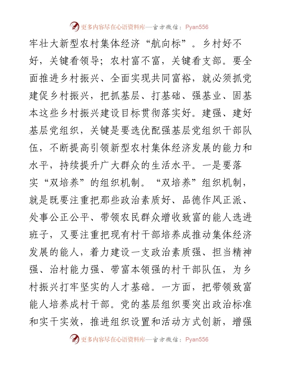 以扎实的基层党组织建设引领乡村高质量发展.docx_第2页