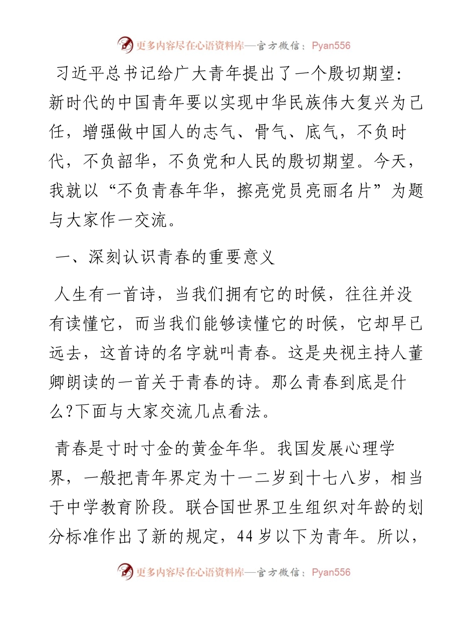 不负青春年华 擦亮党员亮丽名片.docx_第1页