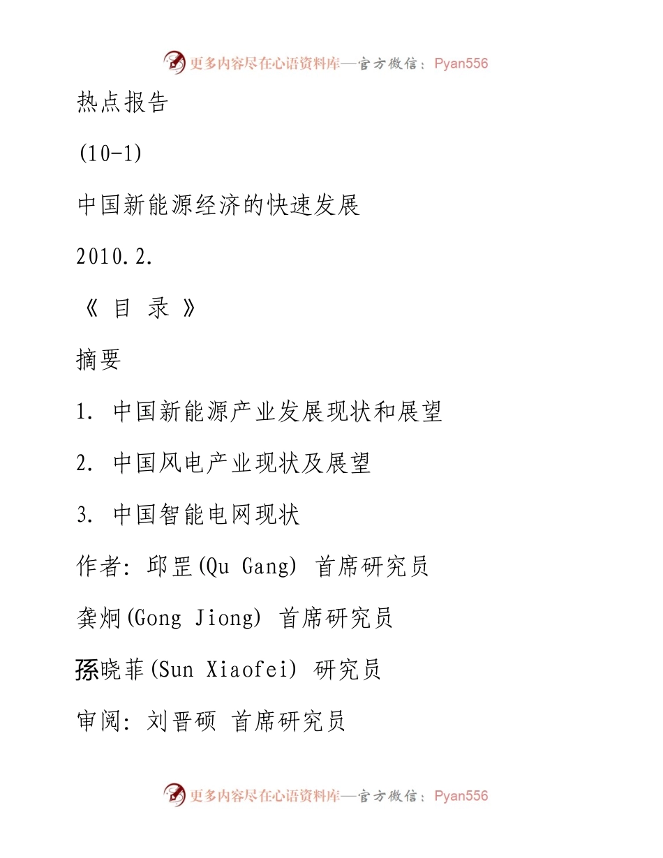 中国新能源发展报告（2010年2月）.docx_第1页