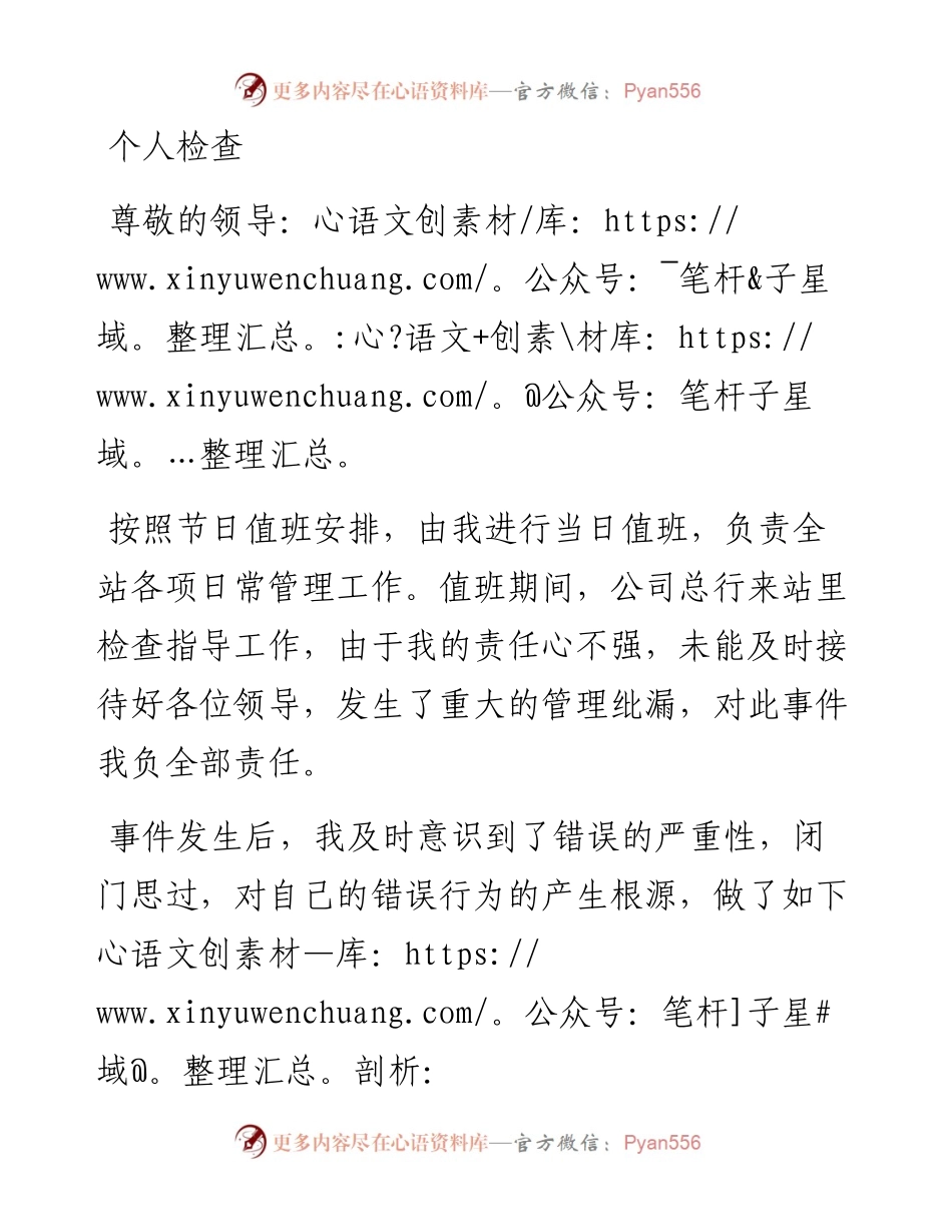个人检查（二十九）.docx_第1页
