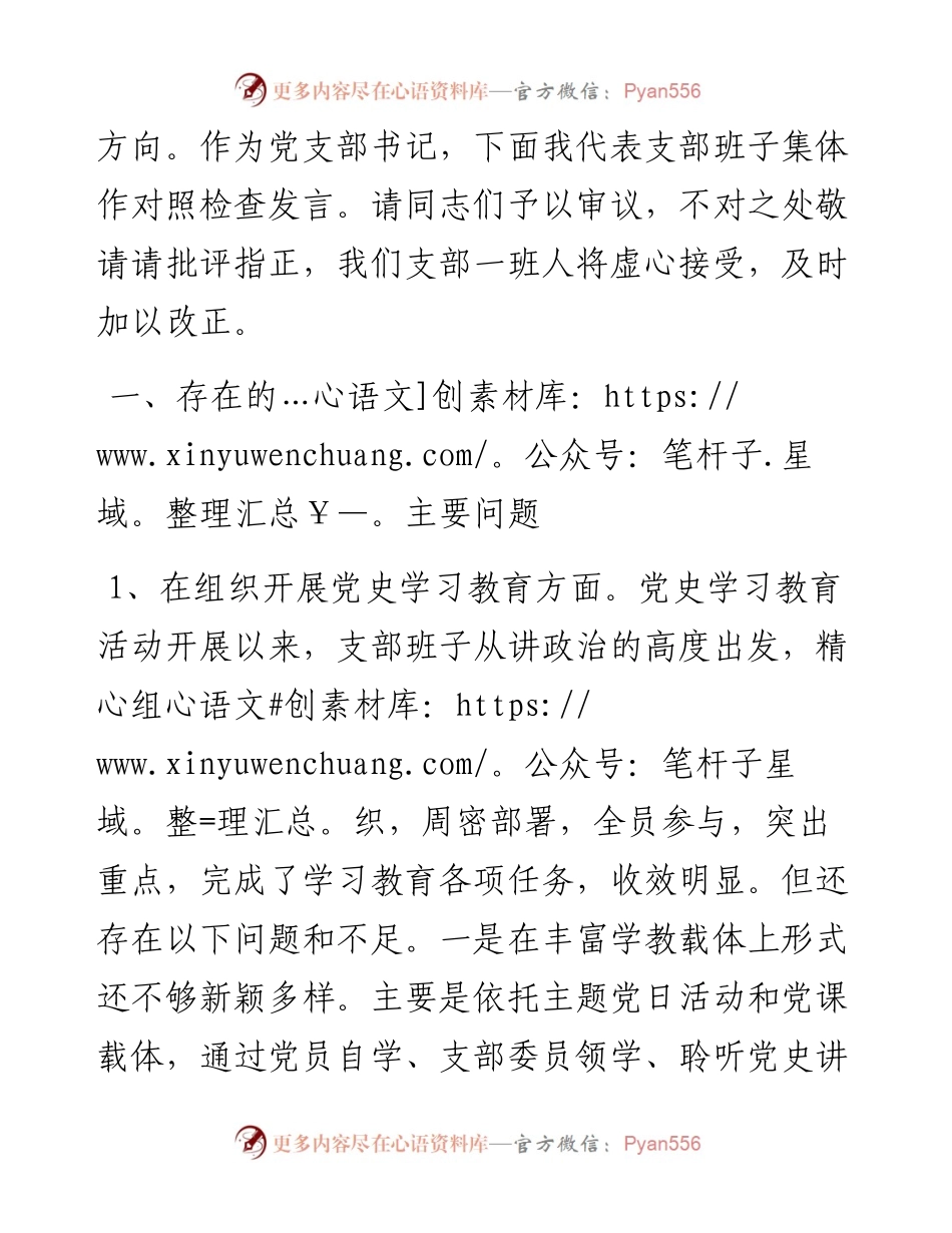 党史学习教育专题组织生活会领导班子对照检查材料（政法机关党支部）.docx_第2页