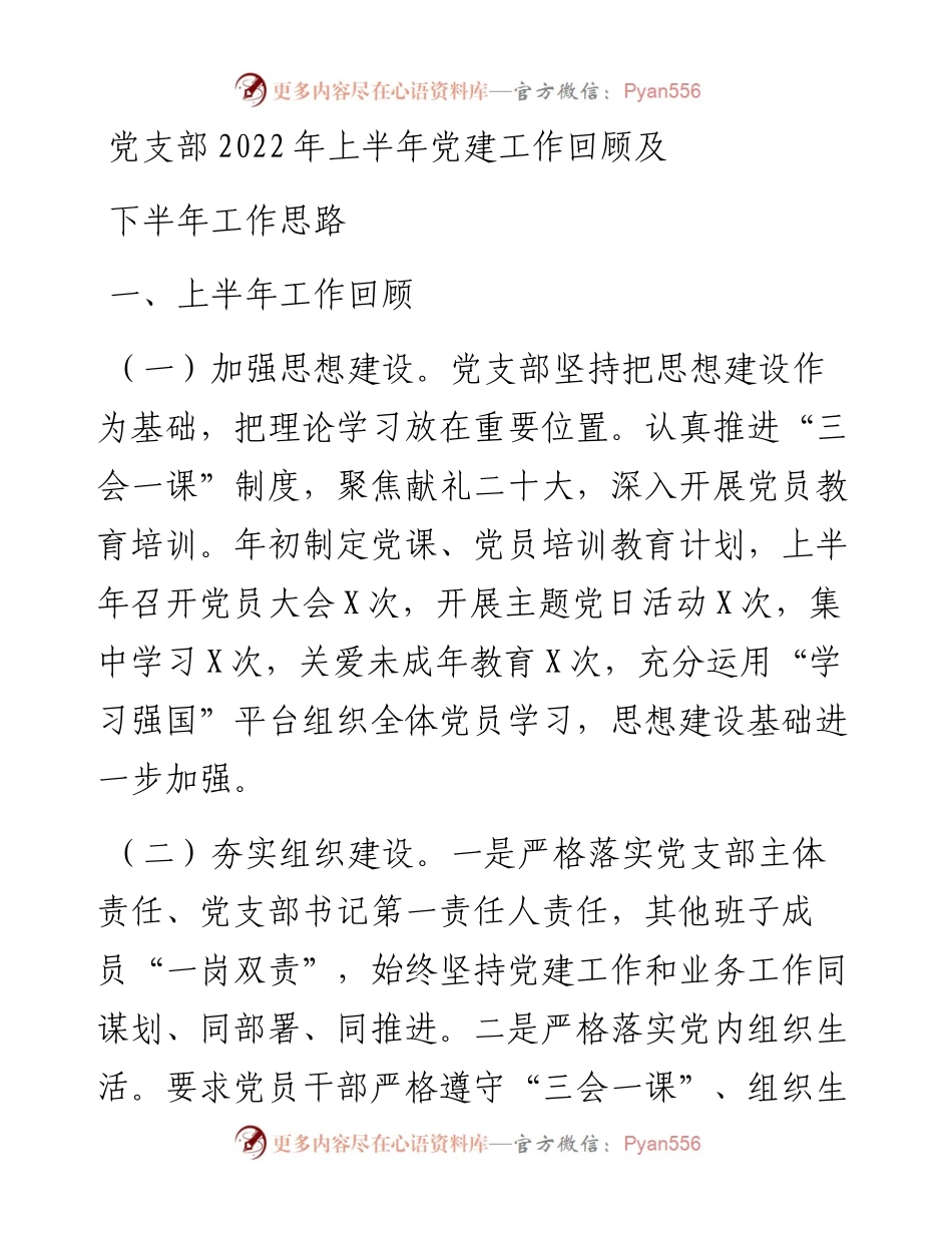 党支部上半年党建工作回顾及下半年工作思路.docx_第1页