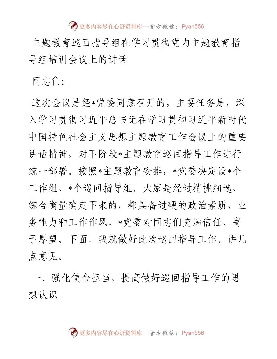 主题教育巡回指导组在学习贯彻党内主题教育指导组培训会议上的讲话.docx_第1页