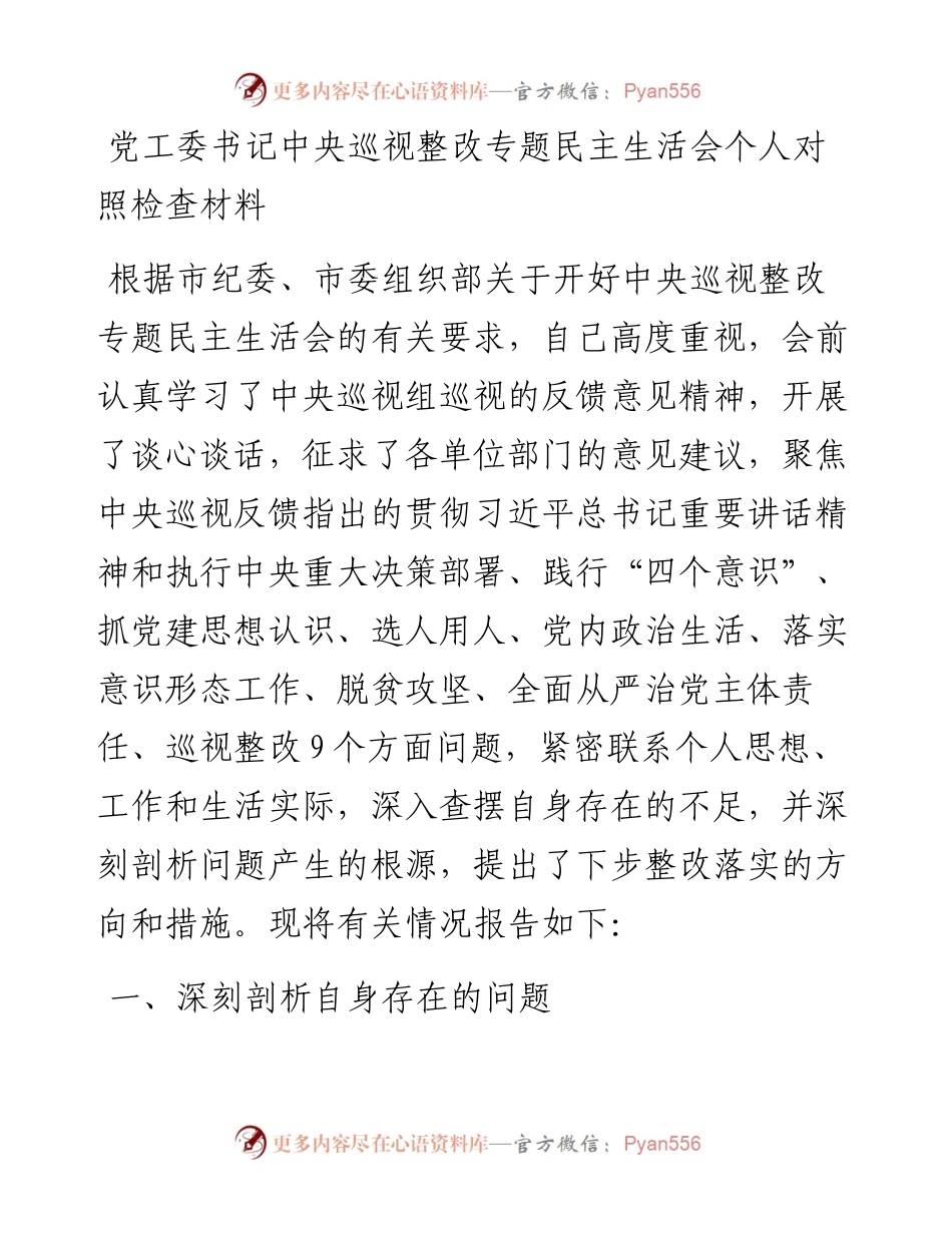 党工委书记中央巡视整改专题民主生活会个人对照检查材料.docx_第1页