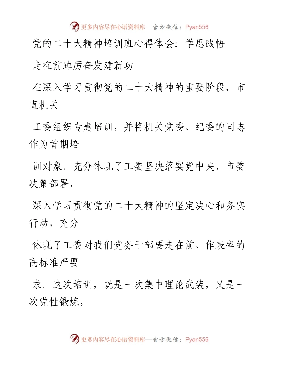 党的二十大精神培训班心得体会：学思践悟走在前踔厉奋发建新功.docx_第1页