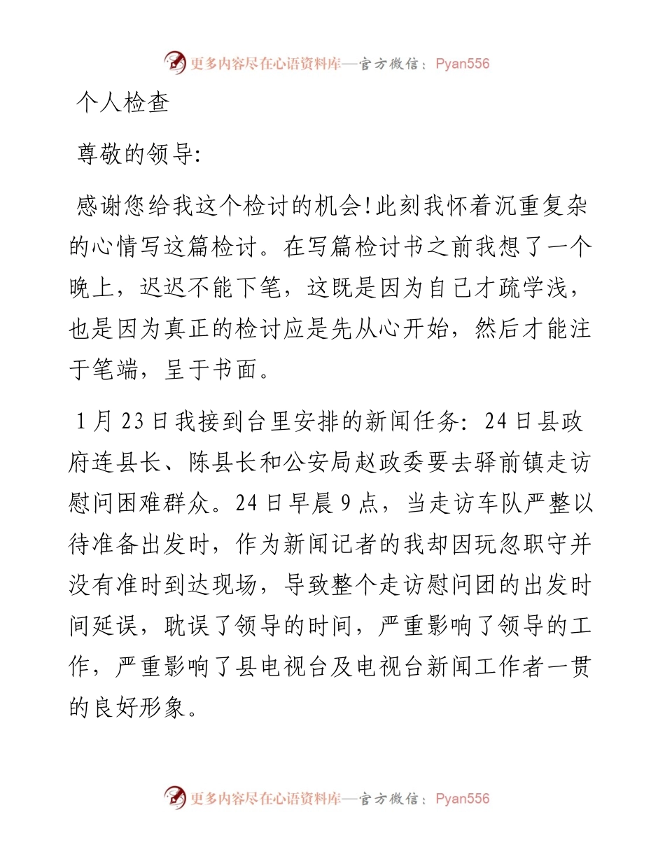 个人检查（二十三）.docx_第1页