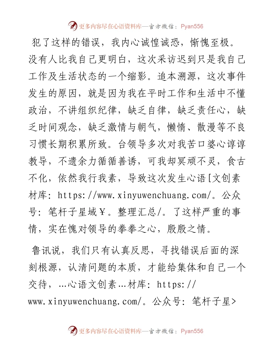 个人检查（二十三）.docx_第2页