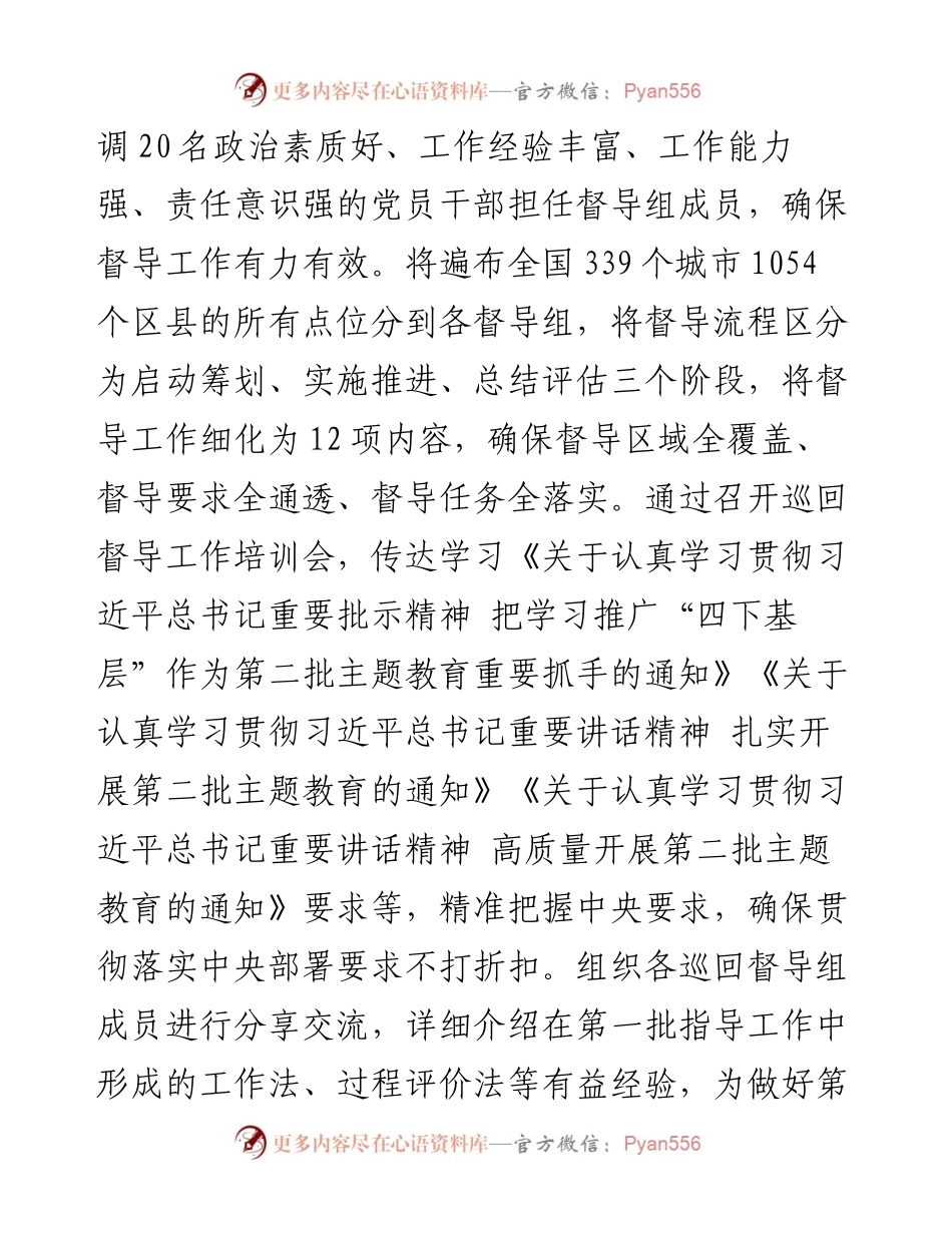 主题教育经验做法：从严从实抓好督导 持续发力促实效.docx_第2页