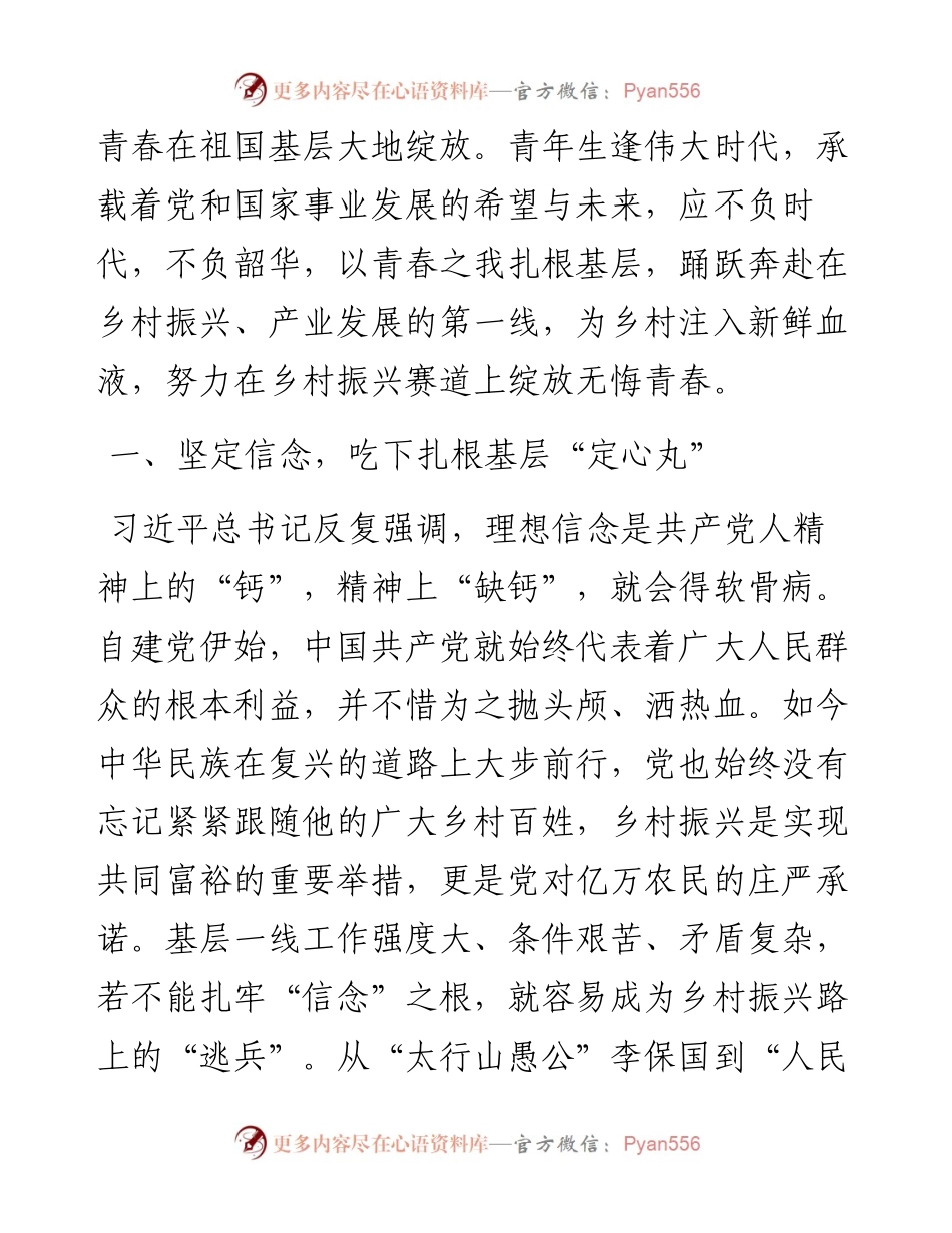 交流研讨发言：践行回信精神助力乡村振兴用青春书写新时代华彩篇章.docx_第2页