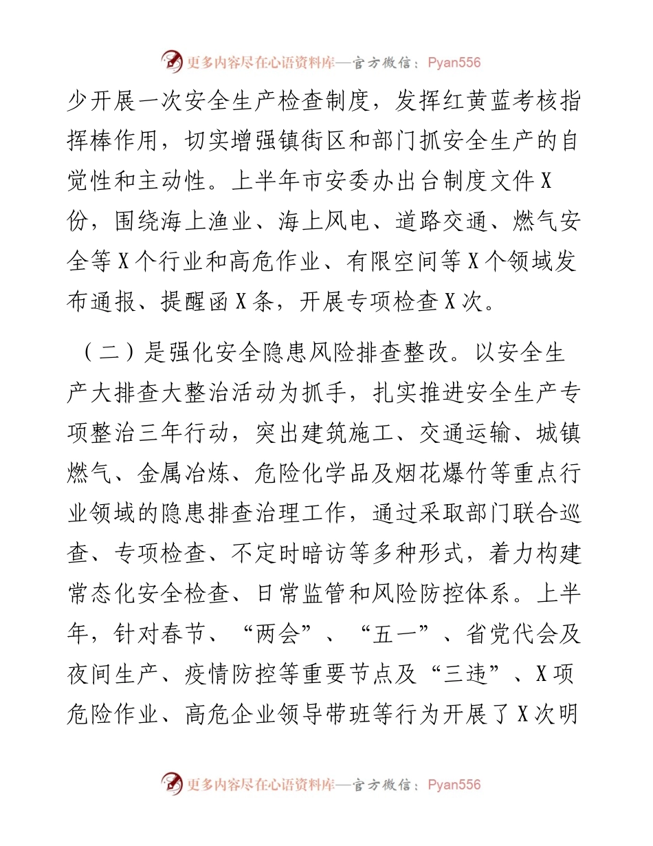 上半年全市安全生产和防汛减灾工作情况汇报.docx_第2页