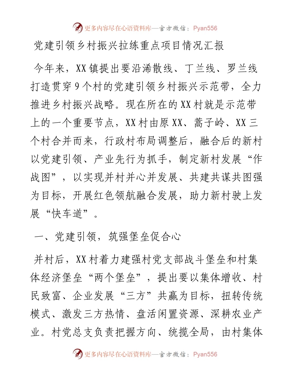 党建引领乡村振兴拉练重点项目情况汇报.docx_第1页